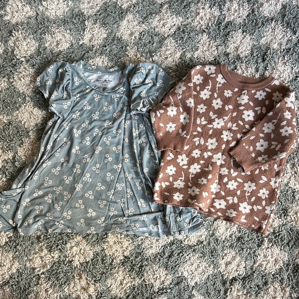 Brave little ones dress and sweater